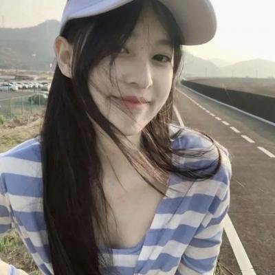 与鲨共游