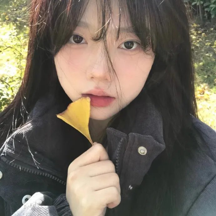 如果这些墙会歌唱